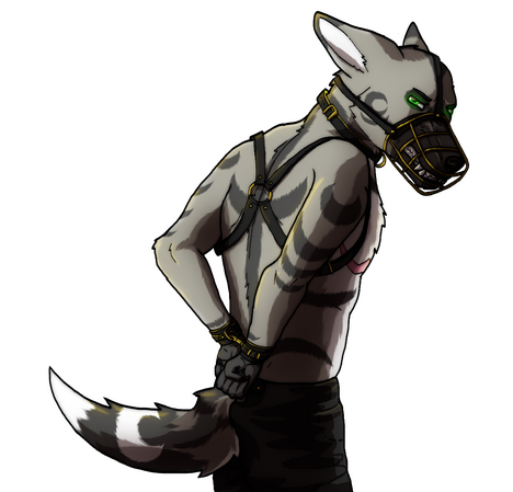 Halfbody hard and soft shading